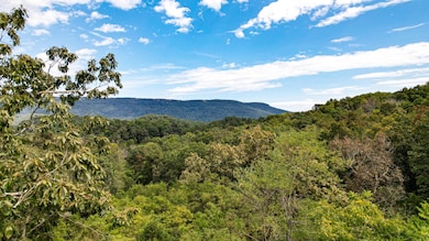 25.09 Acres Byrds Chapel Dr, Rising Fawn, GA 30738 - photo 4