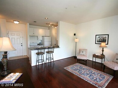 54 Regatta Bay Ct unit 321, Annapolis, MD 21401 - photo 4