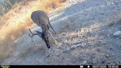 0 Cameron Ln, Fowlerton, TX 78021 - photo 3