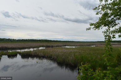 44863 State Highway 48, Hinckley, MN 55037 - photo 5