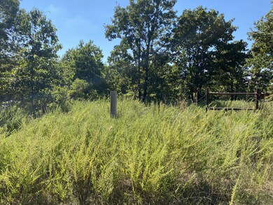 5 Acre Beautiful Property