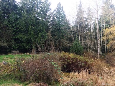 6324 319th St NW, Stanwood, WA 98292 - photo 3