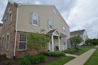 217 Springbrook Trail S, Oswego, IL 60543 - photo 2