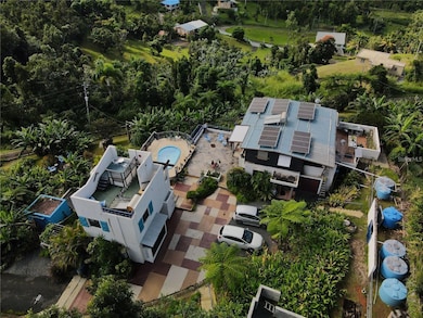 El Yunque KM 10 Carr 186, Canovanas, PR 00729 - photo 4