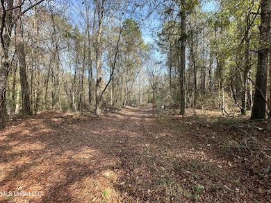 0 Whiddon Rd unit 4133259, Canton, MS 39046 - photo 5