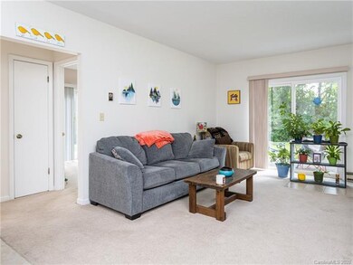 46 Kendra Rd, Hendersonville, NC 28792 - photo 7