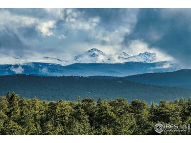 18673 Route 7, Lyons, CO 80540 - photo 7