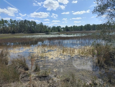 7143 Alloy St, Webster, FL 33597 - photo 4