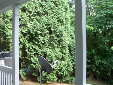 Rear Privacy