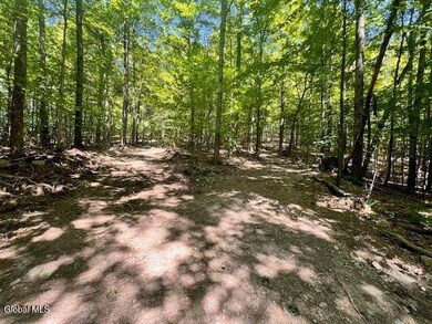 L7.41 Summit Lake Rd unit l7, Argyle, NY 12809 - photo 6