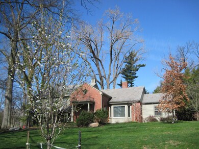 Front view