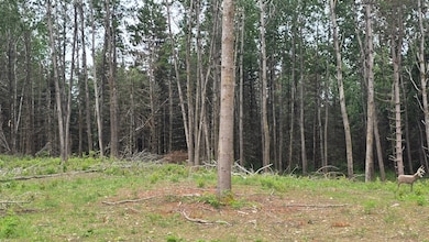 ON County Highway B unit 2 Acres, Summit Lake, WI 54485 - photo 6