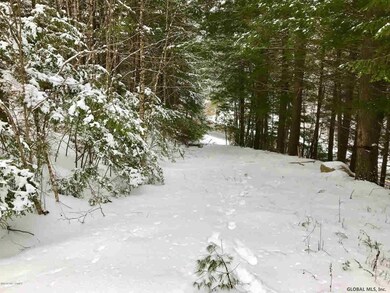 8 Potter Brook Rd, Warrensburg, NY 12885 - photo 5