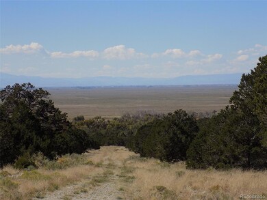 0 Mill Run Rd, Mosca, CO 81146 - photo 7