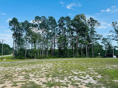 Woods