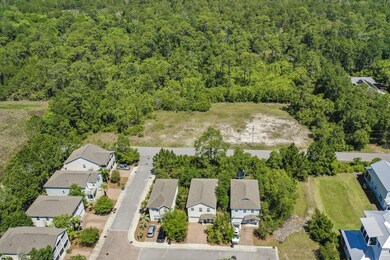 You will love all the trees