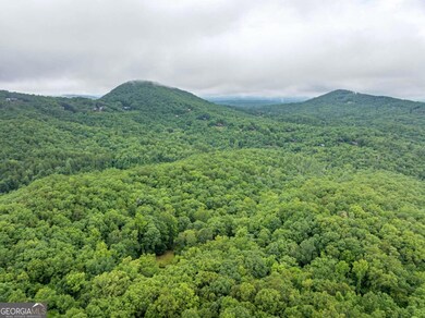 467 Gilliam Trail, Mineral Bluff, GA 30559 - photo 7