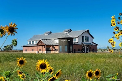 2171 Onion Shed Alley, Brighton, CO 80601 - photo 4