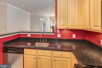 2301 25th St S unit 4104, Arlington, VA 22206 - photo 6