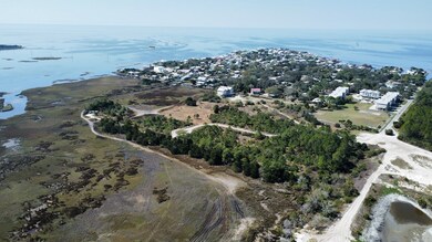 0 E 1 Ave, Horseshoe Beach, FL 32648 - photo 4