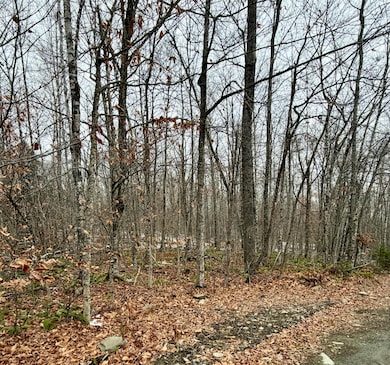 Lot 104 Hornbeam Ridge Rd, Dexter, ME 04930 - photo 5