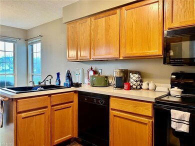 23357 Grist Mill Ct unit 17-3, Olmsted Falls, OH 44138 - photo 6