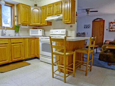 113 Bass Ct, Canadensis, PA 18325 - photo 5