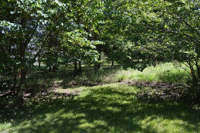 Tbd Wildflower Lots 43 44, Kimberling City, MO 65686 - photo 2
