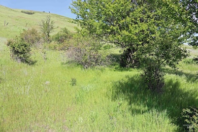 TBD Sunnyside Bench Rd, Lenore, ID 83541 - photo 7