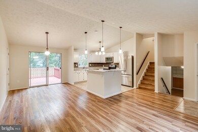 7253 Single Wheel Path, Columbia, MD 21046 - photo 3