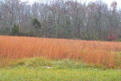 0 Clear Creek Ln unit 201783, Clarkrange, TN 38553 - photo 2