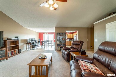 1010 N Sherman St, Lincoln, IL 62656 - photo 4