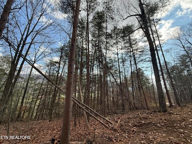 Lot 3 Parksville Rd, Benton, TN 37307 - photo 5