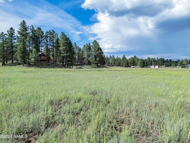 5256 Stonehouse Dr unit 12, Flagstaff, AZ 86001 - photo 3