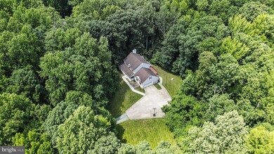 12609 Osborne Dr, Fredericksburg, VA 22407 - photo 4