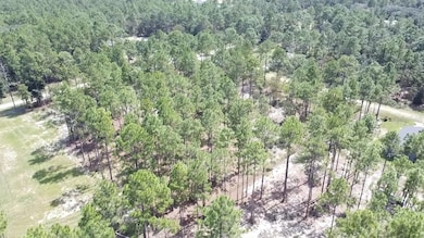 0 SW 69th Place unit MFROM700253, Ocala, FL 34481 - photo 6