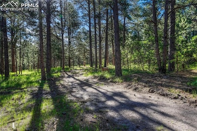 19953 Vista Clara Ln, Monument, CO 80132 - photo 6