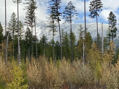 Nhh Cougar Flats Rd, Bigfork, MT 59911 - photo 4