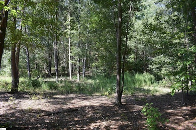 0 Lyman Lodge Rd, Lyman, SC 29365 - photo 6