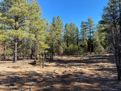 1680 S Iris Ln, Show Low, AZ 85901 - photo 2