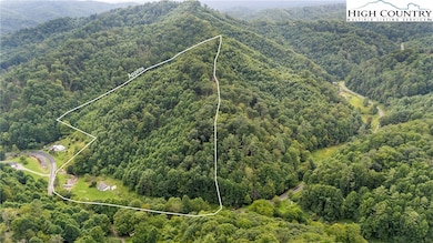 809 Roaring Fork Rd, Creston, NC 28615 - photo 4