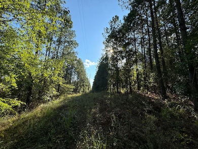 Plesant Rd, Camp Hill, AL 36850 - photo 3
