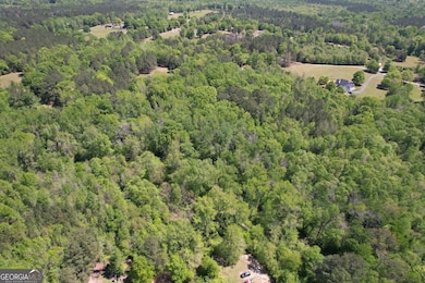 2310 Hollonville Rd, Williamson, GA 30292 - photo 3