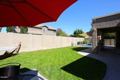 Play Area for the kids & Pets