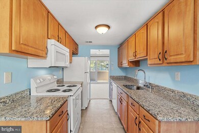 8613 Sacramento Dr, Alexandria, VA 22309 - photo 3