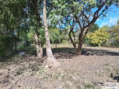 325 Lindale Dr unit 43, Brownsville, TX 78521 - photo 3