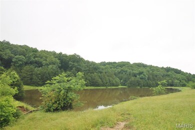 16292 Maries Road 303, Vienna, MO 65582 - photo 7