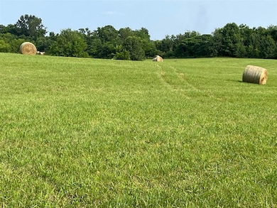 10213 Glasgow Rd, Smiths Grove, KY 42171 - photo 3