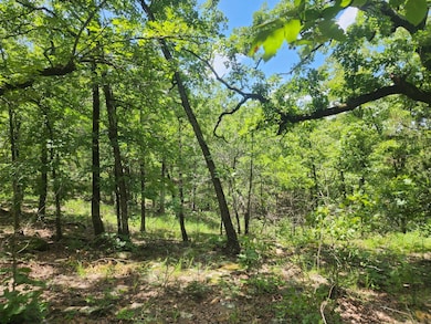 000 Oklahoma 63, Talihina, OK 74571 - photo 2