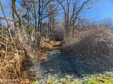 0 Fitzgerald Rd unit LOT 1 WB-96231, Dushore, PA 18614 - photo 2